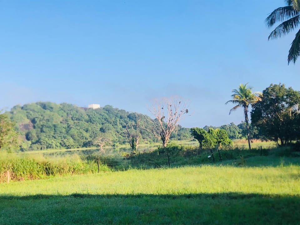 Natural landscape, Animals, Lake view, Mountain view