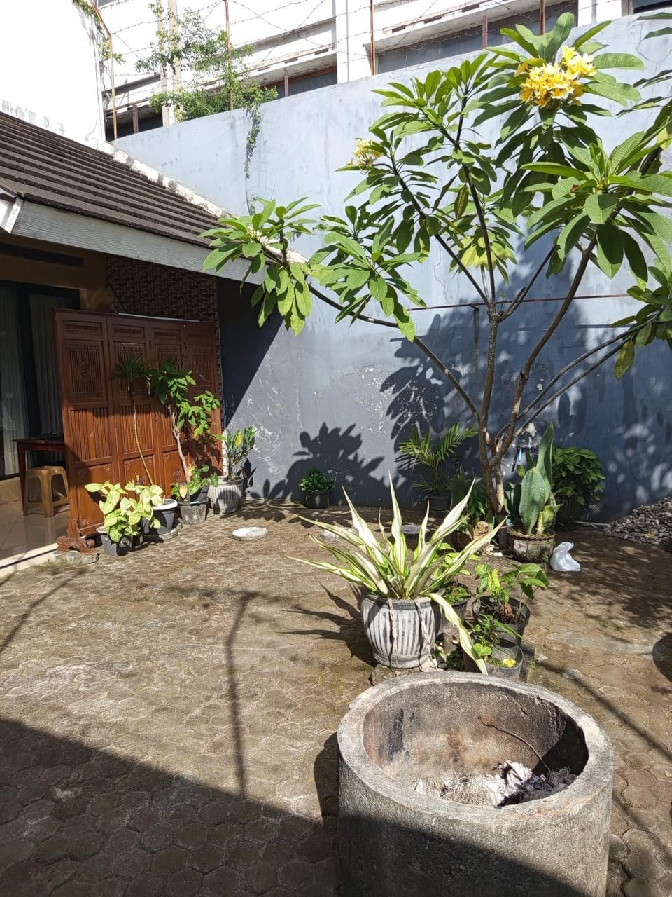 Garden view
