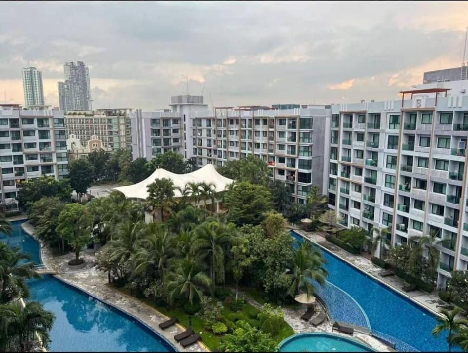 Garden, Swimming pool