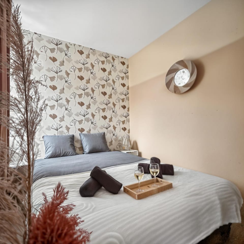 Fibre Rapide Cosy Rénové Queen Size Proche Lille Apartment in Hauts-de-France