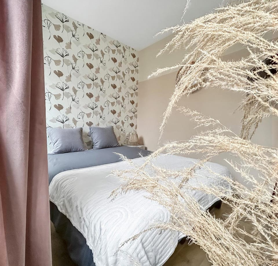 Fibre Rapide Cosy Rénové Queen Size Proche Lille Apartment in Hauts-de-France