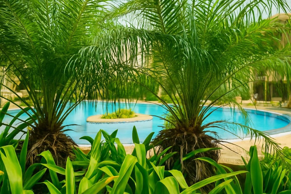 Natural landscape, Garden, Garden view, Pool view, Swimming pool