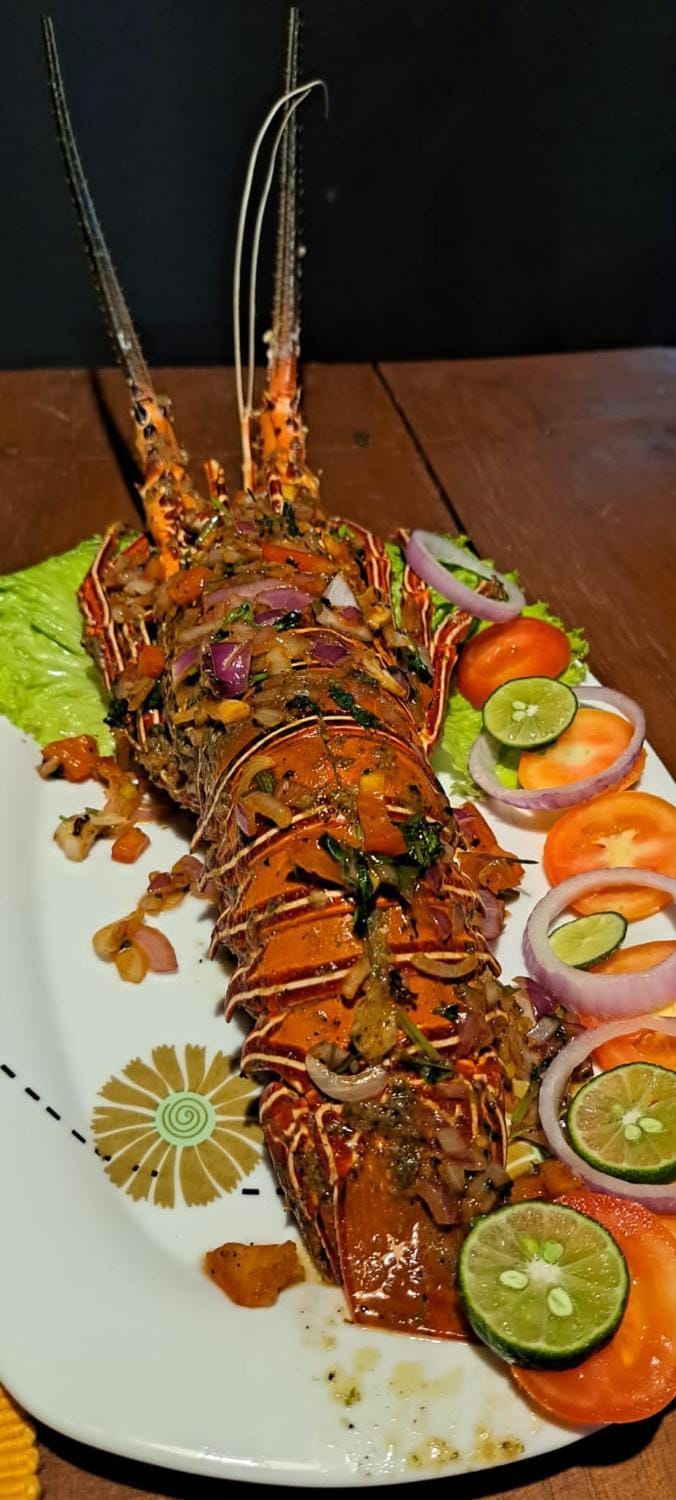 Ocevia - Tangalle Bed and Breakfast in Tangalle