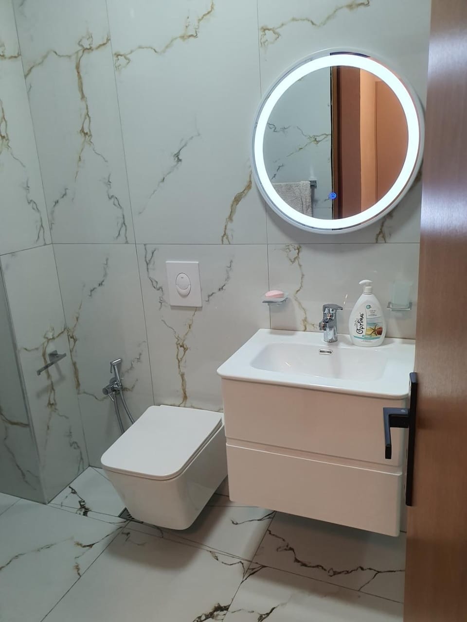 Lion apartment Apartment in Tirana