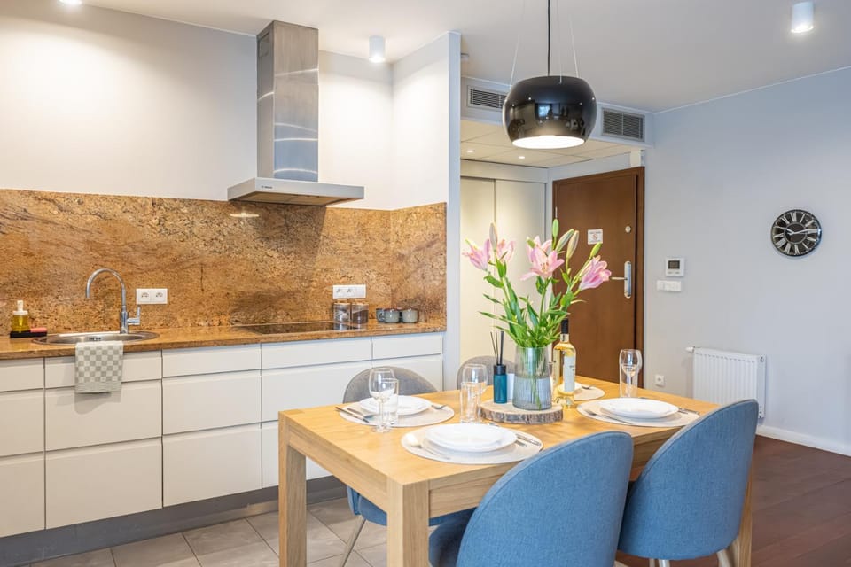 Kitchen or kitchenette, Dining area, oven, stove