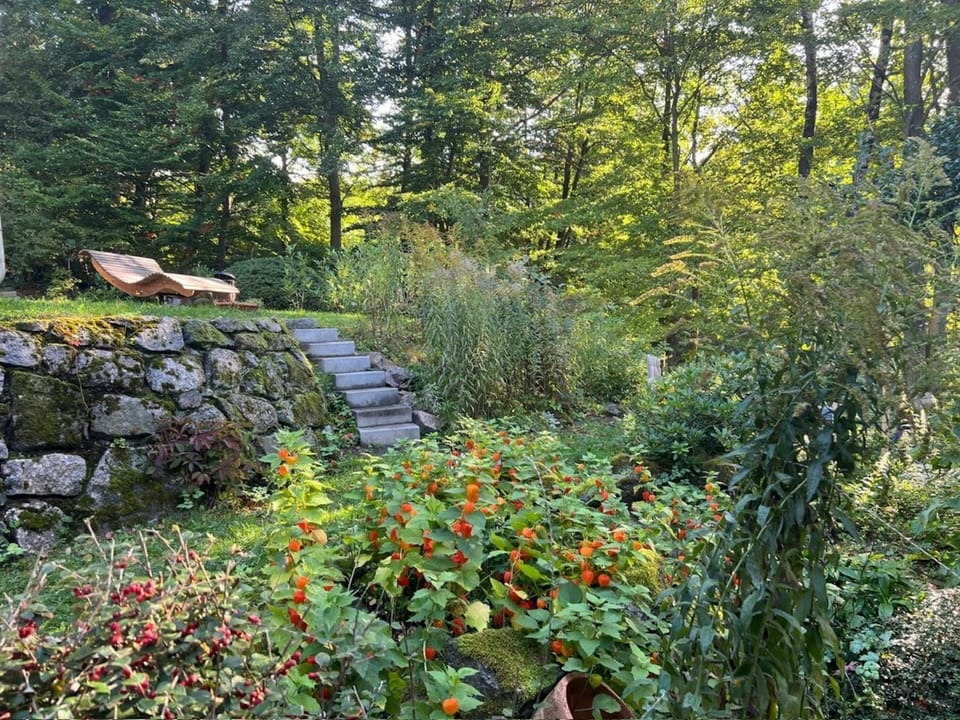 Summer, Garden