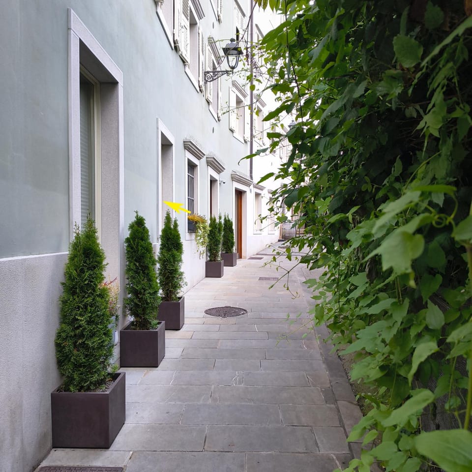 Quiet street view