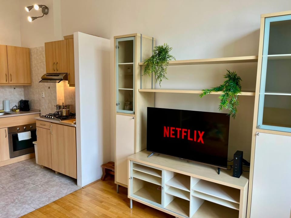 Central Cozy Comfort Loft Apartment in Prague