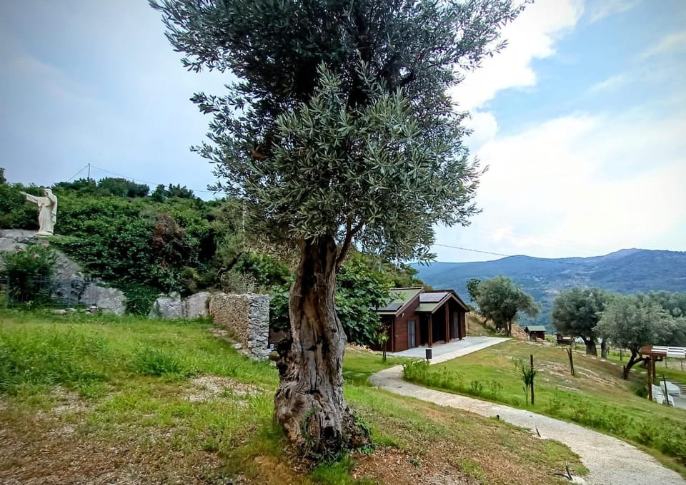 Nearby landmark, Spring, Day, Natural landscape