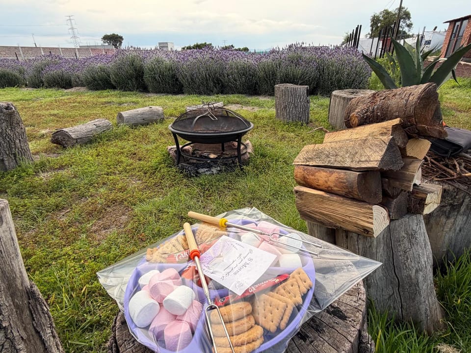 Food and drinks, Garden view