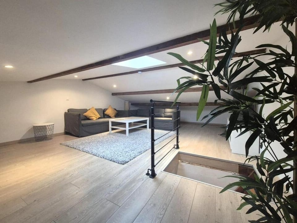 Dubaï - Élégant logement rémois - 10P Apartment in Reims