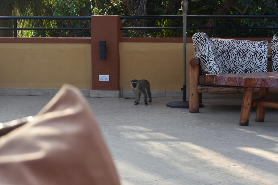 Secrets Guest House Bed and Breakfast in Uganda