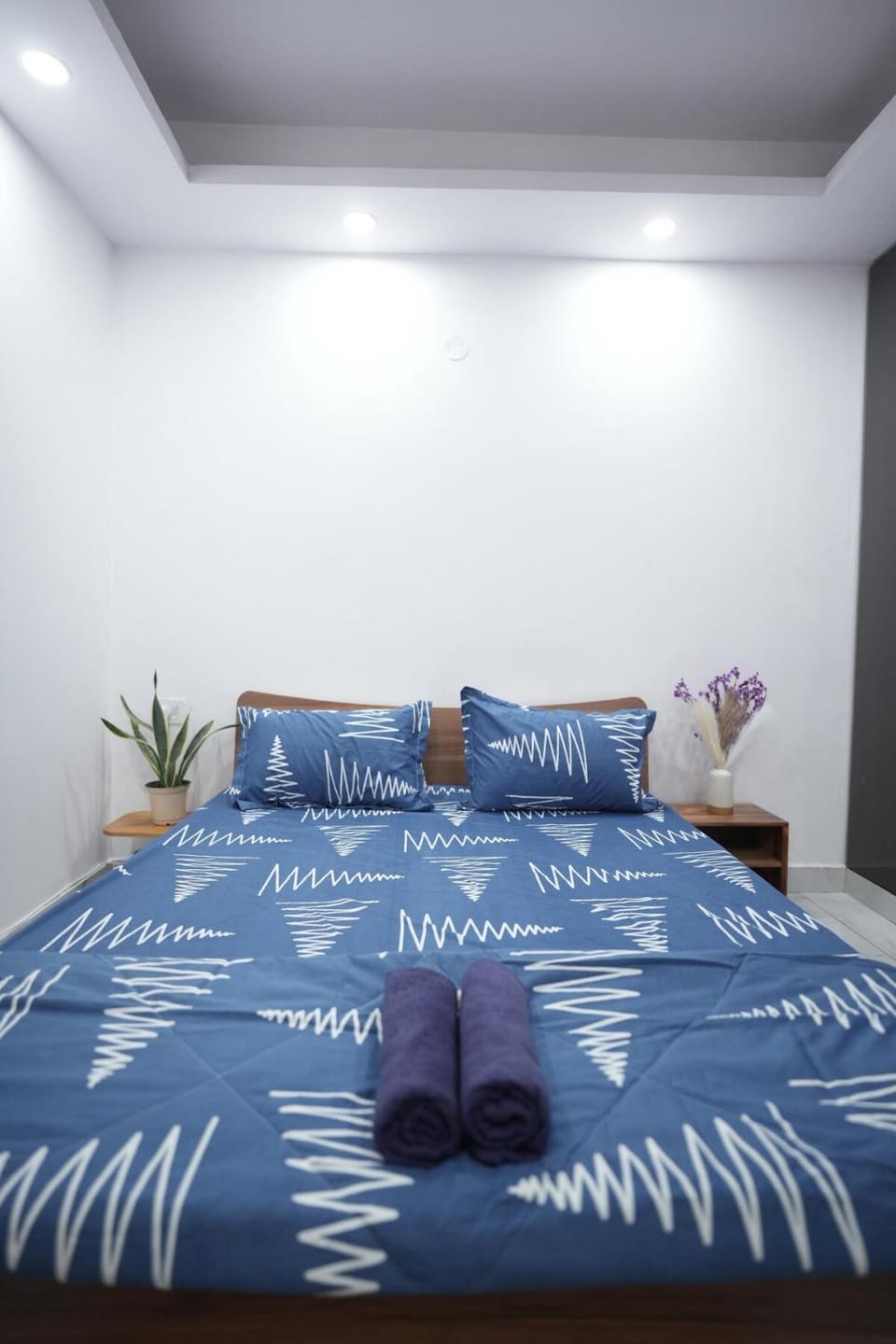 Cozy Cocoon Apartment in New Delhi