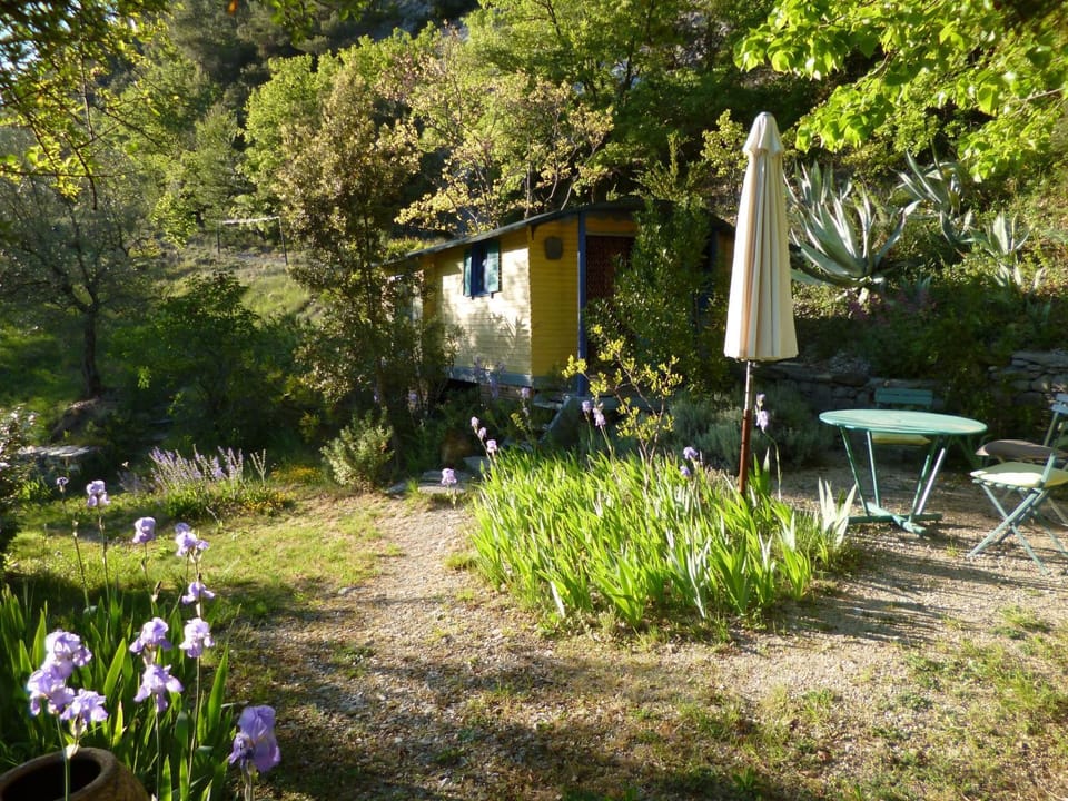 Facade/entrance, Garden