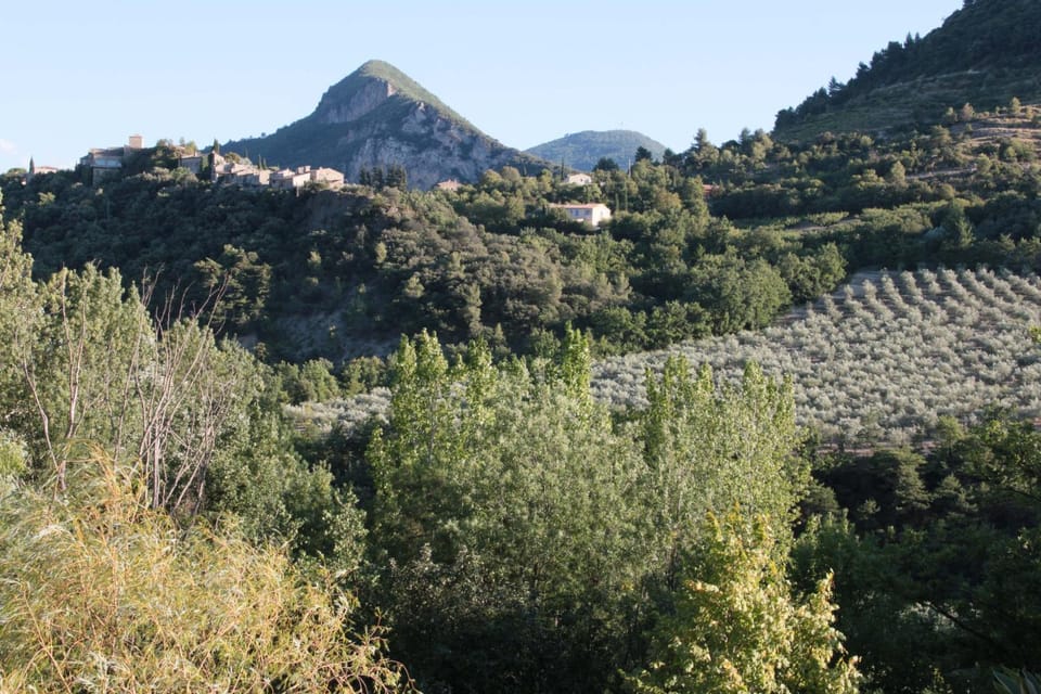 Mountain view