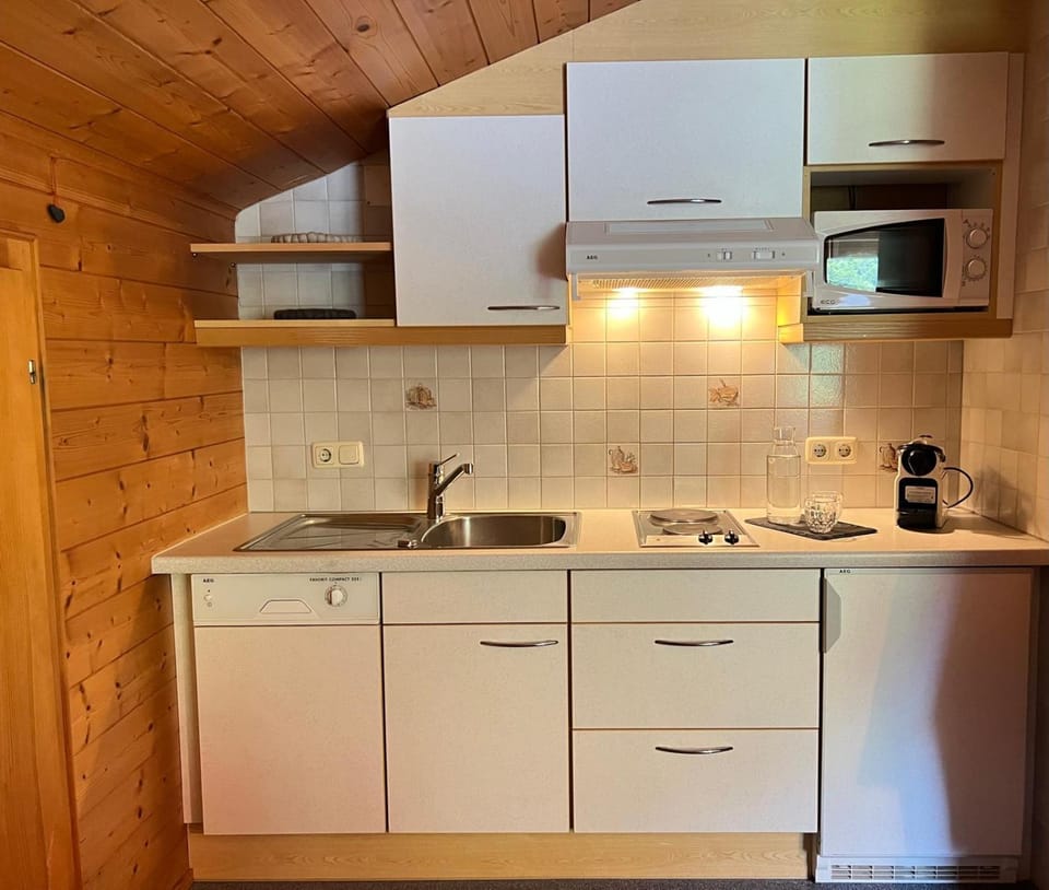 Kitchen or kitchenette, dishwasher