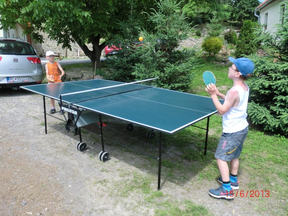 Table tennis