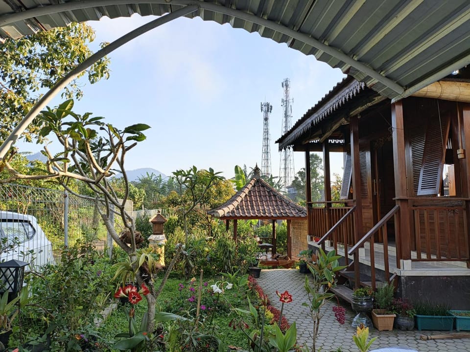Property building, Patio, Spring, Day, Garden, Garden view