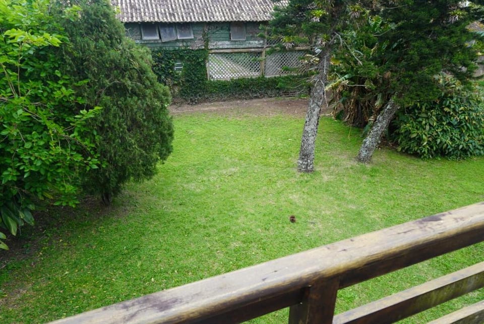 Spring, Day, Natural landscape, Garden, Garden view