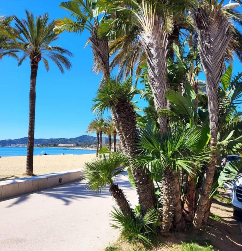 Le lavandou a St clair verger des Naiades Apartment in Le Lavandou