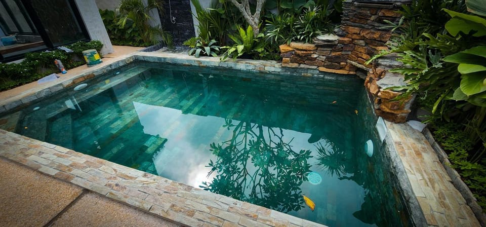 Garden, Pool view, Swimming pool