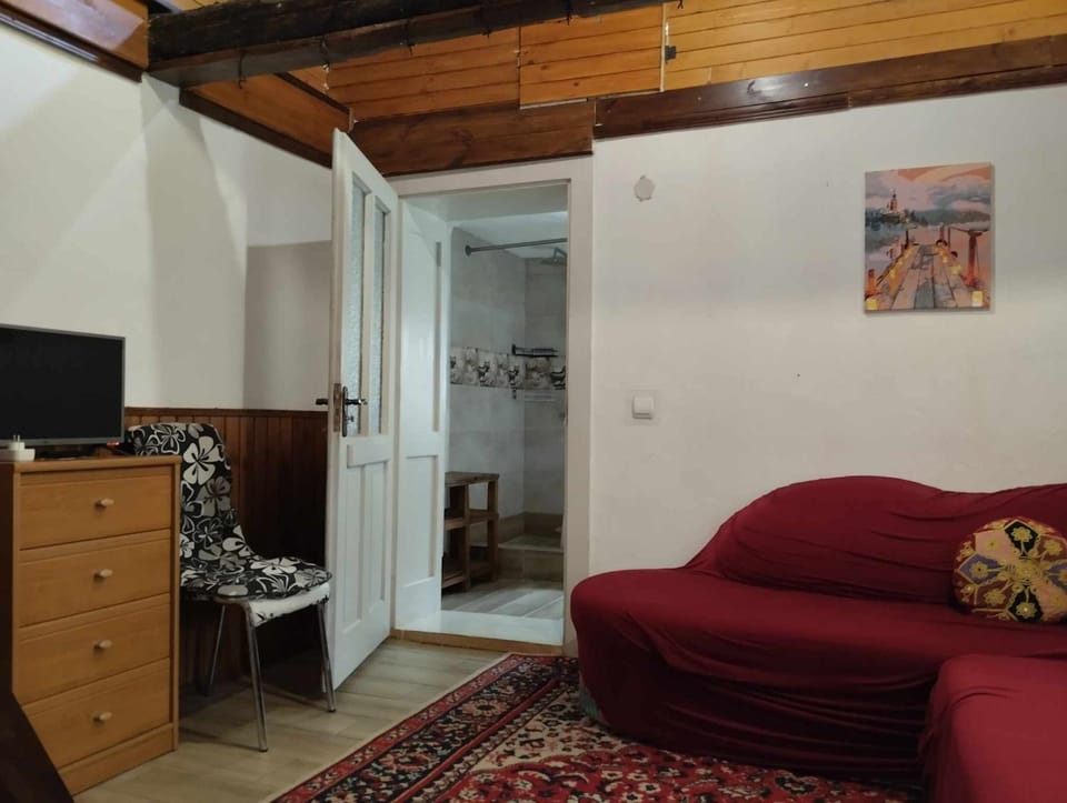 Садиба-студіо Під вишнею Apartment in Hungary