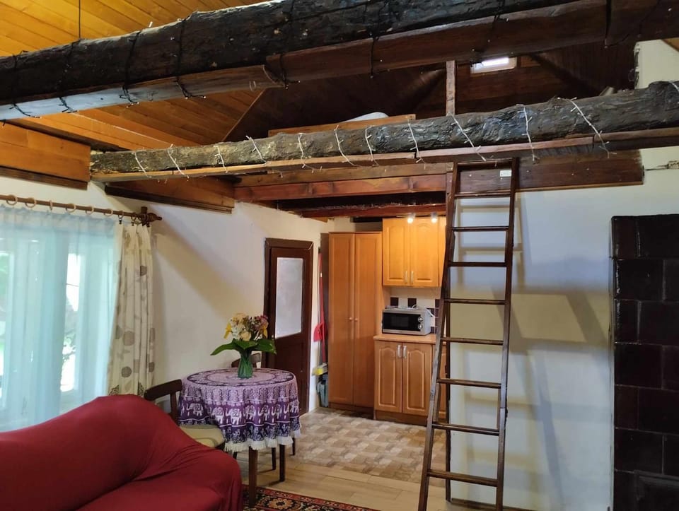 Садиба-студіо Під вишнею Apartment in Hungary