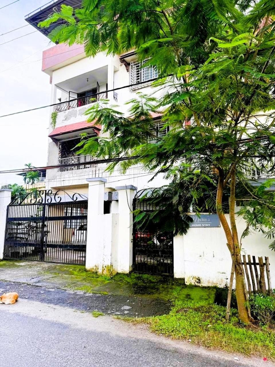 Property building