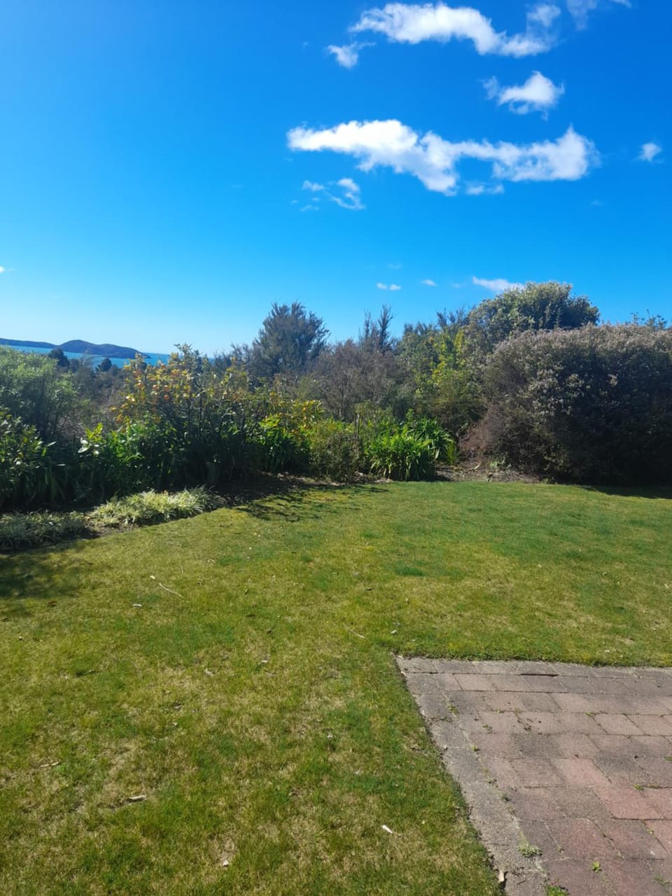 Natural landscape, Garden, Garden view