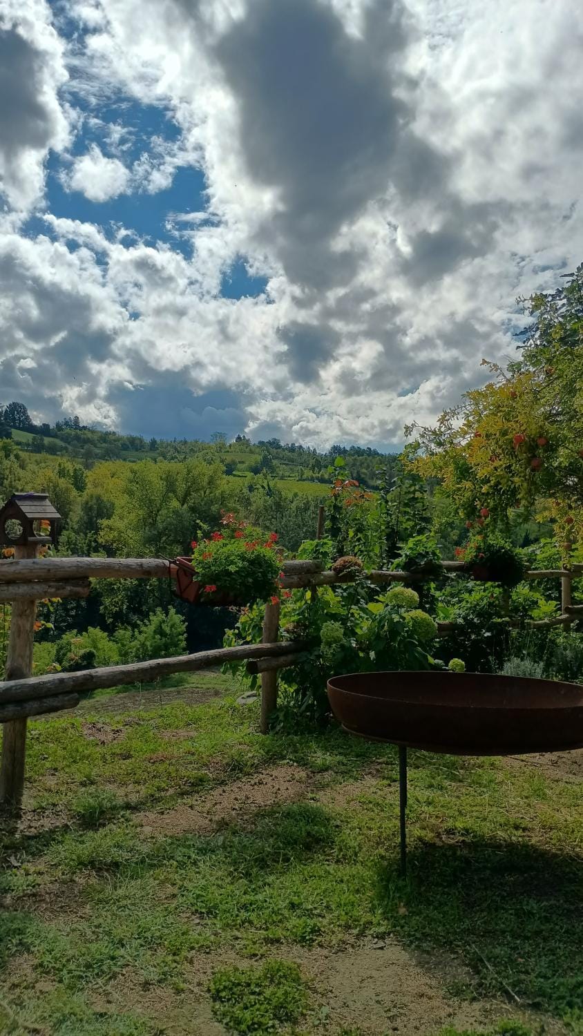 Day, Natural landscape, Garden, Garden view