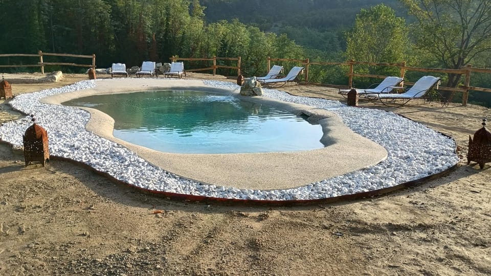Natural landscape, Pool view, Swimming pool, Swimming pool, sunbed