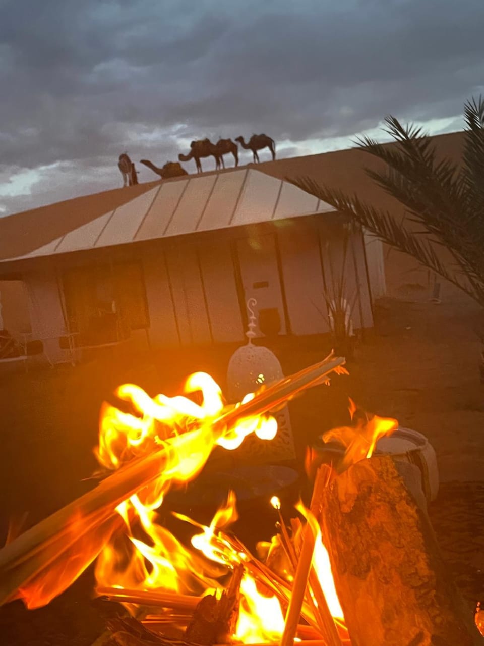 Luxury Desertcamp Luxury tent in Morocco