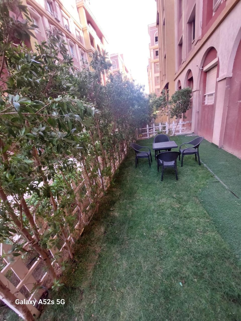Spring, Day, Garden, Dining area, Garden view