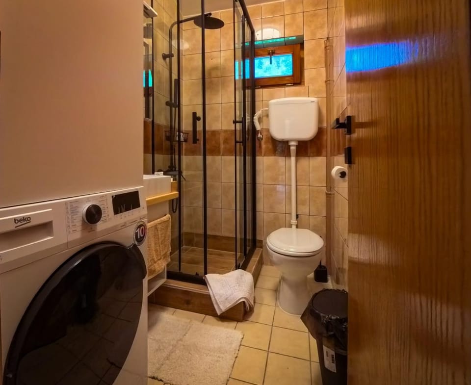 Apartman Aleksandra Apartment in Vojvodina