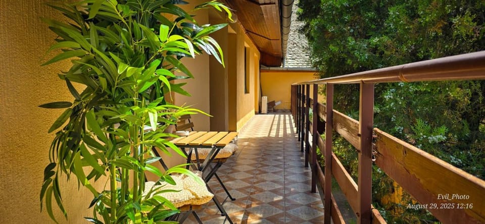 Apartman Aleksandra Apartment in Vojvodina
