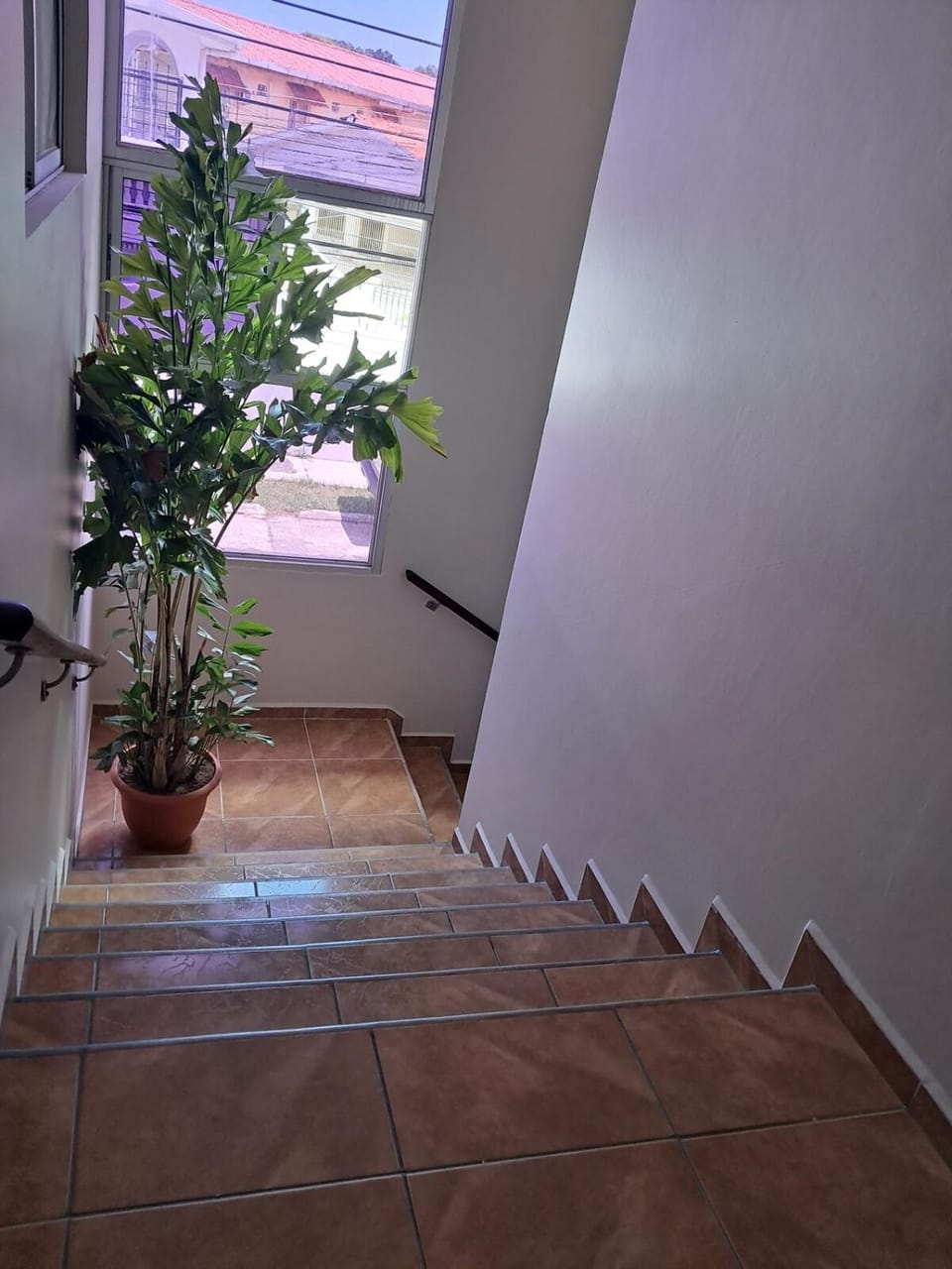 Apartamento Esmeralda Apartment in La Ceiba