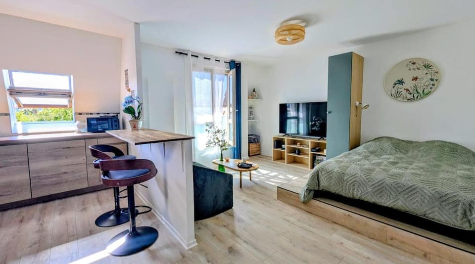 Bed, TV and multimedia, Kitchen or kitchenette, Living room, Photo of the whole room, Seating area, Dining area, Bedroom, wardrobe