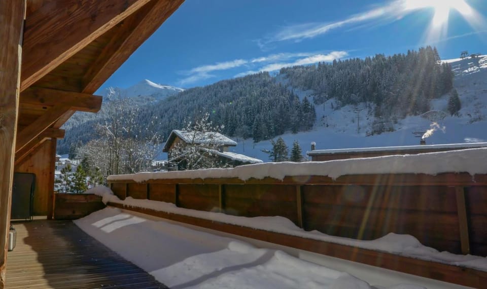 Chalet le C Apartment in La Clusaz