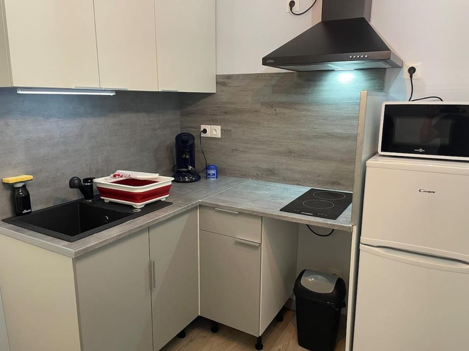 Le nid des sources studio Apartment in Vosges