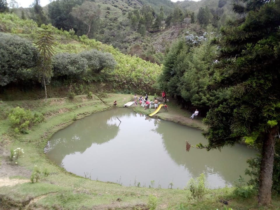 Lake view