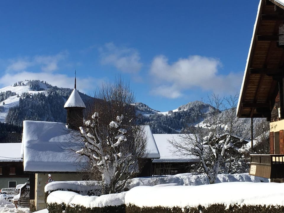 Vieille Bergerie 2 Apartment in La Clusaz
