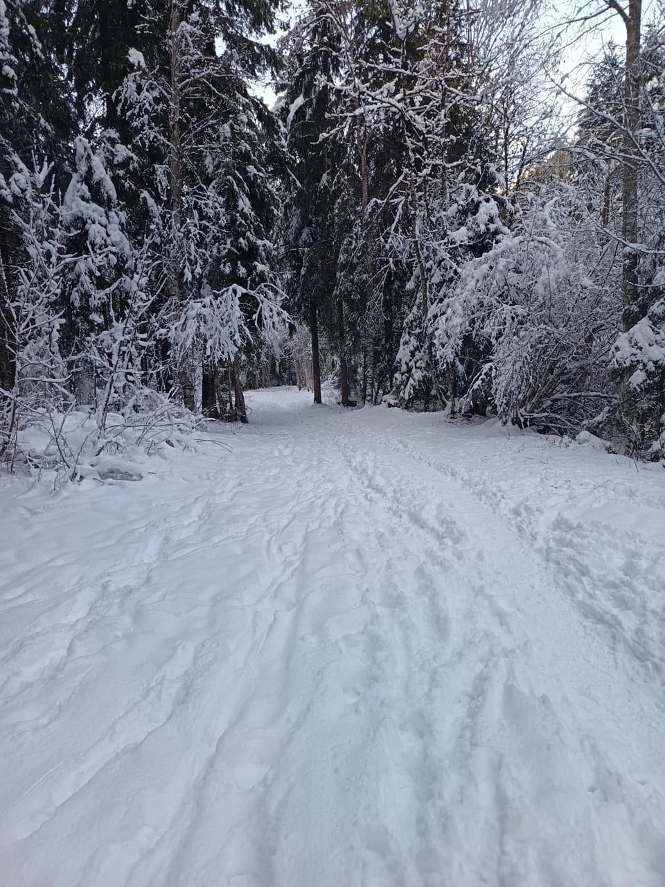 Day, Natural landscape, Winter