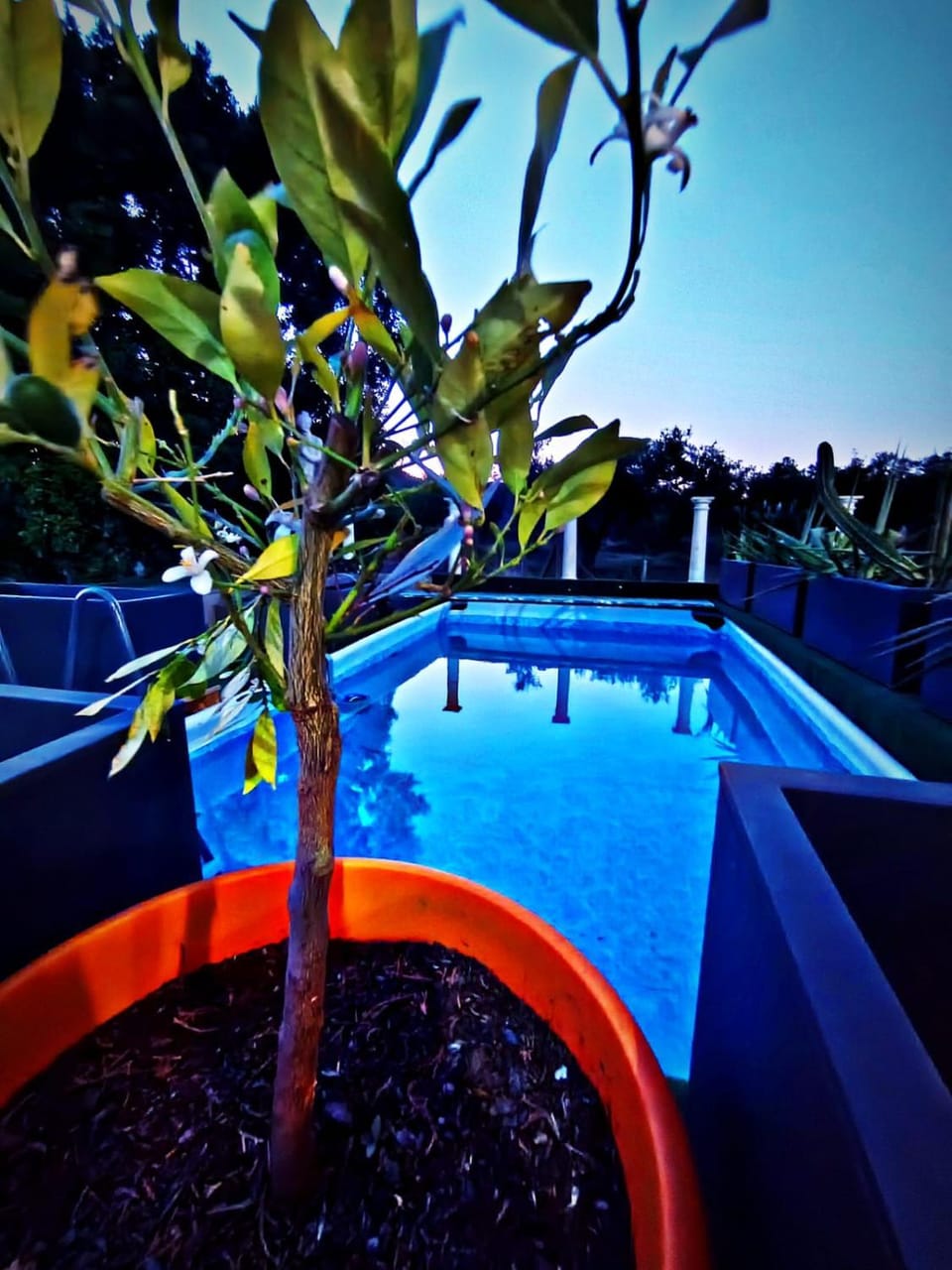 villa lina sicily House in Sicily