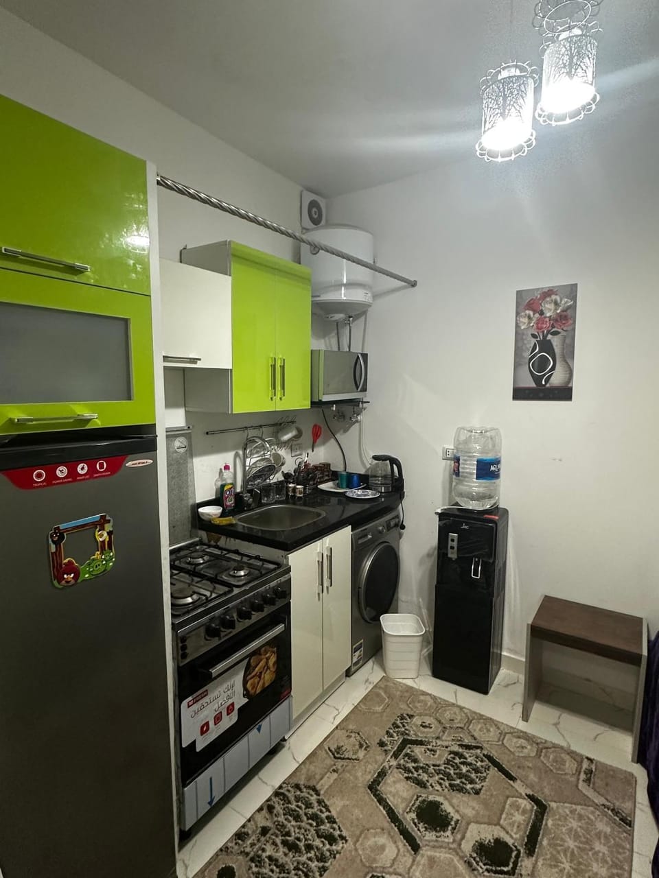 Kitchen or kitchenette, dishwasher, minibar, oven, pet friendly, stove, washing machine, dryer