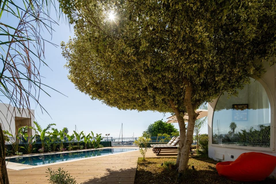 Day, Natural landscape, Garden, Pool view, Swimming pool, sunbed