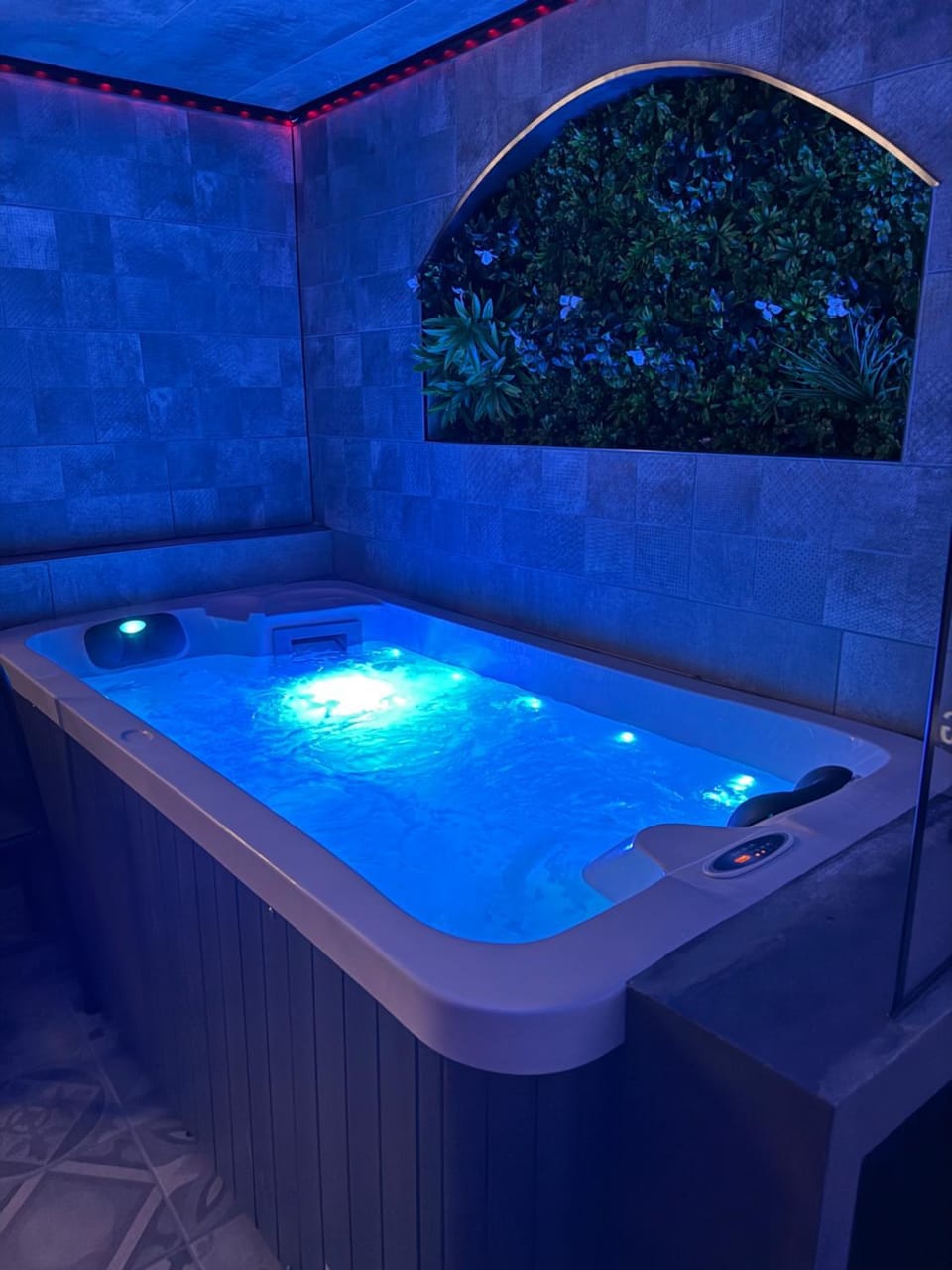 Secret Factory & Spa Apartment in Grand Est