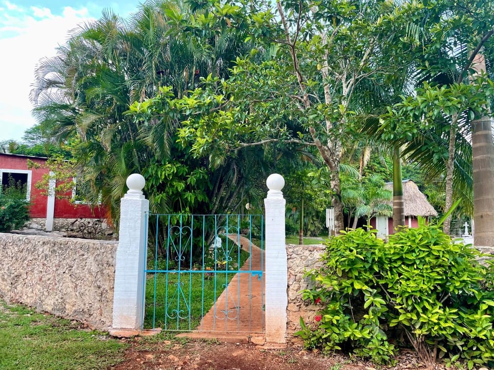 Quinta Flor de Mayo Bed and Breakfast in State of Quintana Roo
