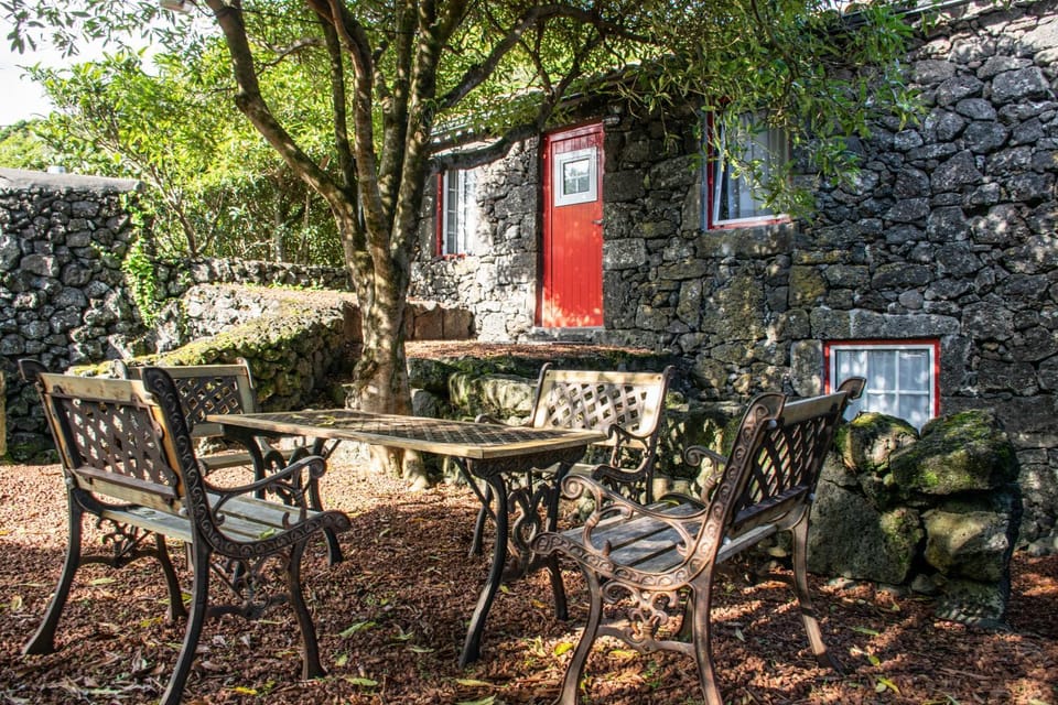 Patio, Garden, Garden view