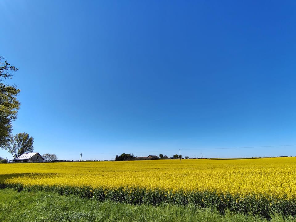 Tour Jony Apartment in Greater Poland Voivodeship