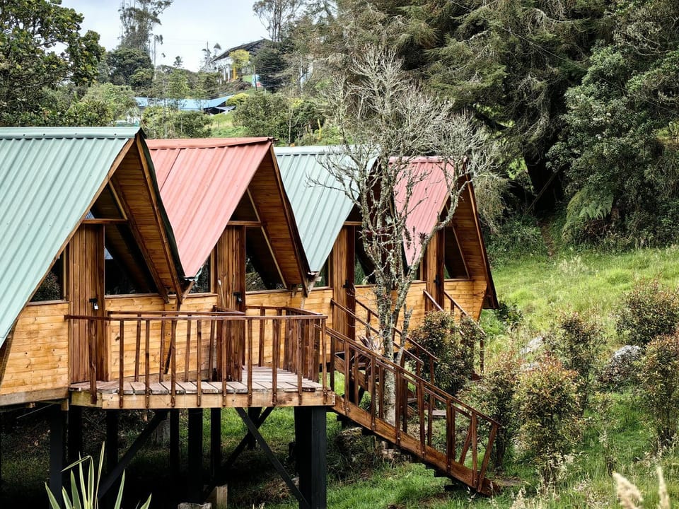 Cabañas del bosque - La casa en la piedra Campground/ 
RV Resort in Cundinamarca, Colombia
